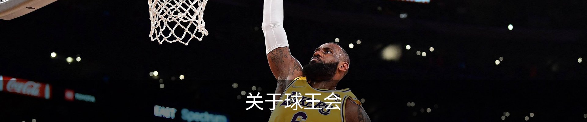 关于球王会